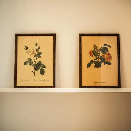 水晶套房老城区酒店 公寓式酒店 4*